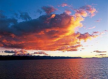 他还是忘不了 《死亡搁浅2》新角色“Neil”酷似《合金装备》“固蛇”